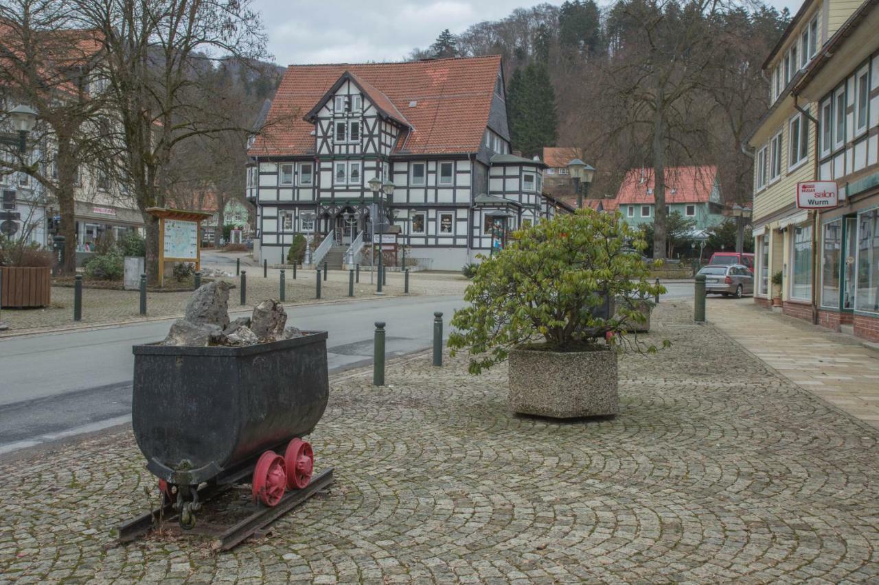 Welt Lodge Altenau  Esterno foto